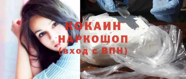 стаф Богородск