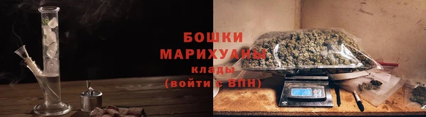 стаф Богородск