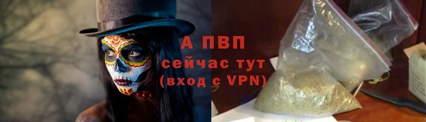стаф Богородск