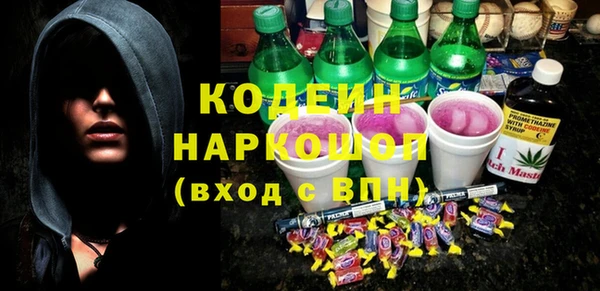 стаф Богородск